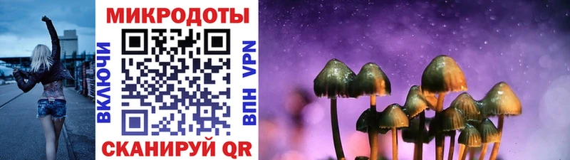 ссылка на мегу   Кашин  Галлюциногенные грибы Psilocybine cubensis 